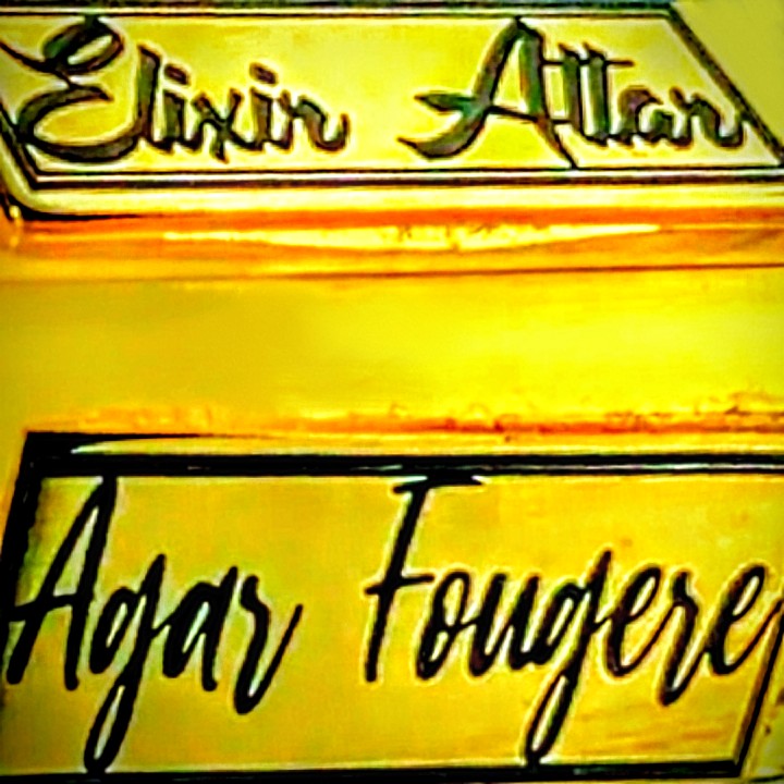 Agar Fougere