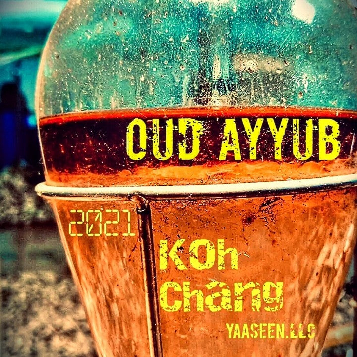 Oud Ayyub