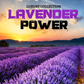 Power Lavender