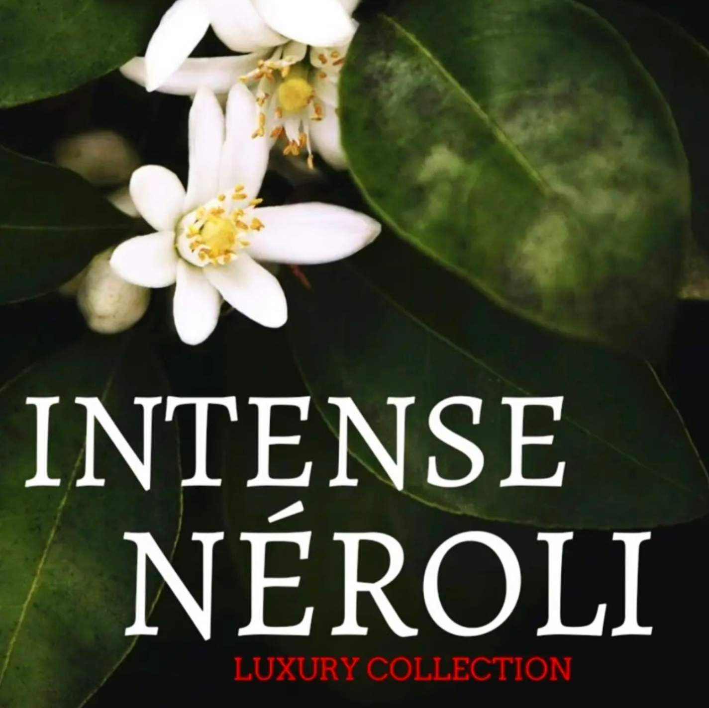 Intense Neroli